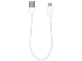 CK-C01WH [0.2m �z���C�g]