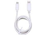 CK-C04WH [1m �z���C�g]