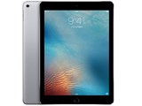 iPad Pro 9.7�C���` Wi-Fi+Cellular 256GB MLQ62J/A SIM�t���[ [�X�y�[�X�O���C] ���i�摜