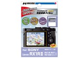 DGF2-SCRX1RM2