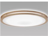 LIFELED'S SLDCD12529SG [�i�`�������I�[�N]