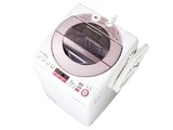 ES-GV8A i摜