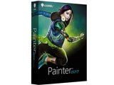 Painter 2017