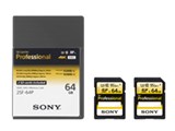 2SF-64P [64GB]