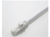 LD-C6T/WH10 [1m �z���C�g]