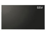 PN-V550 [55�C���`]
