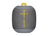 UE WONDERBOOM WS650GR [Stone Grey] ���i�摜