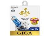 �M�K ���C�h�p���[ BD54 [�n���Q�� �z���C�g 5400K H4]