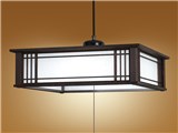 LIFELED'S HCDD1255 i摜
