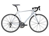 SCULTURA 100 2018Nf [PEARL WHITE]̐i摜