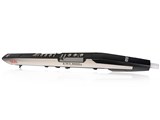 EWI4000s �ǉ�������