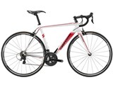 CARTESIO 2018�N���f�� [�}�b�g�z���C�g/���b�h]
