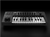 KOMPLETE KONTROL A25 ���i�摜