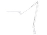 LEDIC EXARM DIVA LEX-967WH [�z���C�g]