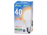 E-Bright LDA4L-G AS2C1 [�d���F]