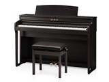 Concert Artist CA49R [v~A[YE...