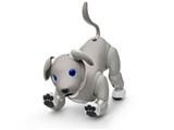 ソニー、aibo（アイボ）の2021年限定カラーモデル「aibo 黒ごま エディション」 - 価格.com