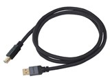 STRATOSPHERE SUS-020 USB A-USB B [4.5m]̐i摜