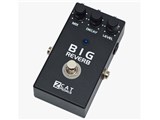 Big Reverb TI ���i�摜