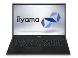 STYLE-17FH045-C-UCFS Celeron 4205U/8GB������/480GB SSD/17�C���` �t��HD