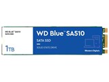 WD Blue SA510 SATA WDS100T3B0B i摜