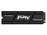 FURY Renegade SSD SFYRSK/500G ���i�摜