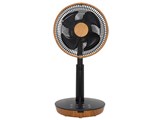 SKJ-KT20FSA(DM) [�ؖڒ�]