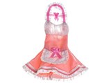 CS010C 1/12�X�P�[�����t�B�M���A�p ���C�h�� �s���N