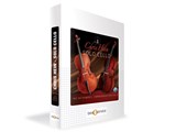 CHRIS HEIN SOLO CELLO / BOX