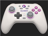 GameSir Nova [Retro White] ���i�摜