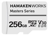 HW-MSD256GT1 [256GB] ���i�摜