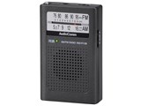 AudioComm RAD-P115N [�K�����^]