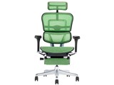 Ergohuman PRO2 ottoman EHP2-LPL-DR-BF-GN [�O���[��]