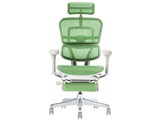 Ergohuman PRO2 ottoman EHP2-LPL-DR-GF-GN [�O���[��]