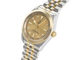 �u���b�N�x�C 31 S&G 79603 [8P�_�C�� SS�EYG�u���X �V�����p��]