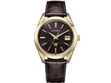 UEV`Y Iconic Nature Collection 30NLO胂f AQ4103-16W