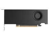 NVIDIA RTX PRO 2000 Blackwell 900-5G195-2551-000 [PCIExp 16GB] ���i�摜