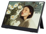WT-140LP-BK [14�C���`]