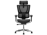 Ergohuman FIT2 FIT2-HAM-DR-BF-BK [�u���b�N]