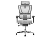 Ergohuman FIT2 FIT2-HAM-DR-BF-WH [�z���C�g]