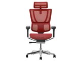 Ergohuman FIT2 FIT2-HAM-DR-BF-RD [���b�h]