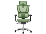 Ergohuman FIT2 FIT2-HAM-DR-BF-GN [�O���[��]