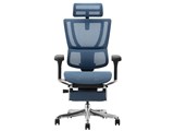 Ergohuman FIT2 Ottoman FIT2-LPL-DR-BF-BL [�u���[]