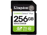 SDS3/256GB [256GB]