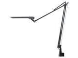 LEDIC EXARM DIVA LEX-996BGY [�u���b�L�[�O���C]