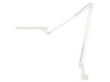 LEDIC EXARM DIVA LEX-996FWH [�t�����`�z���C�g]