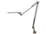 LEDIC EXARM DIVA LEX-996LBR [���e�u���E��]