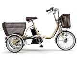 PAS ���S�� PA16W 2026�N���f�� [�A�C�{���[] + ��p�[�d��