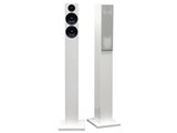 HF-SP250FW [�z���C�g �y�A]