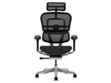 Ergohuman PRO2 EHP2-HAM-5D-DR-BF-BK [�u���b�N]